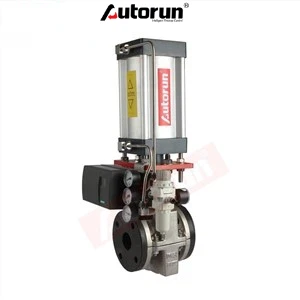 Pneumatic pur Asye Purch Valv